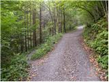 Trnovec - Gontarska planina